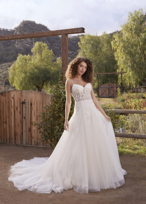 Beaded Spaghetti Straps Ivory Lace Tulle Dreamy Wedding Dress